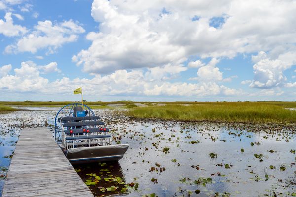 Splendeurs de Floride en rendez-vous sur place 08J/07N – 2025