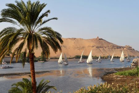 Splendeurs des Pharaons 8J/07N – 2025