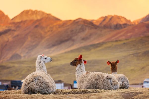 Douceurs au Pays des Incas & Séjour Nazca 14J/12N – 2026