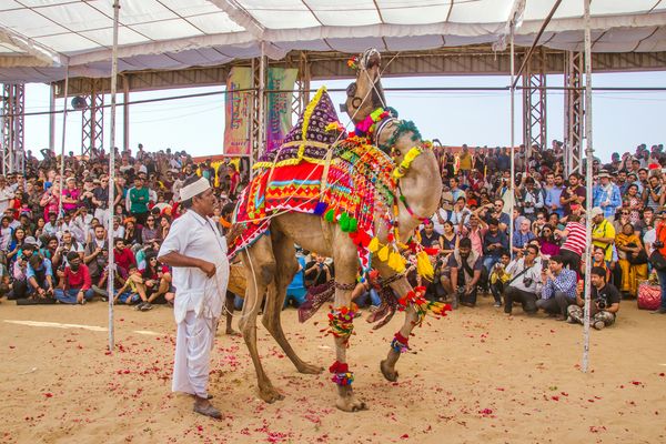 Merveilles de l’Inde du Nord – Spécial Fête de Pushkar – 15J/12N – 2026