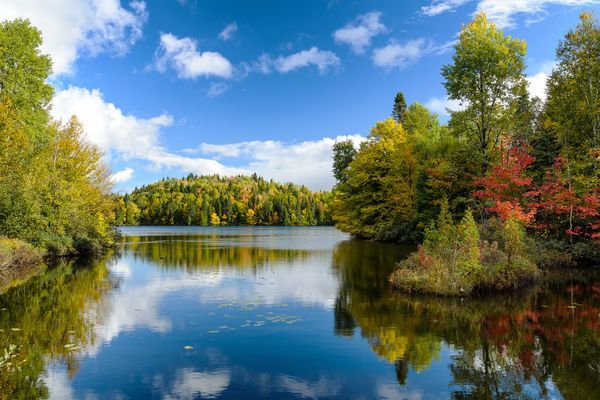 Immersion au Canada 12J/10N – 2026
