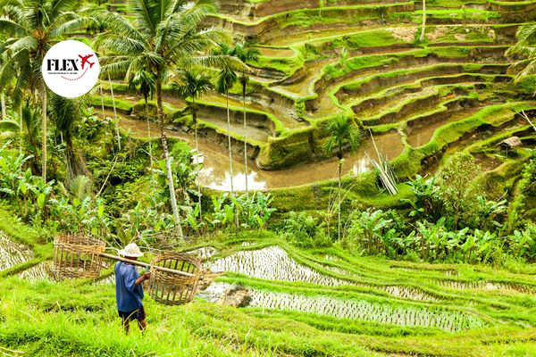 Splendeurs de Bali & Extension Plage 15J/12N – 2026