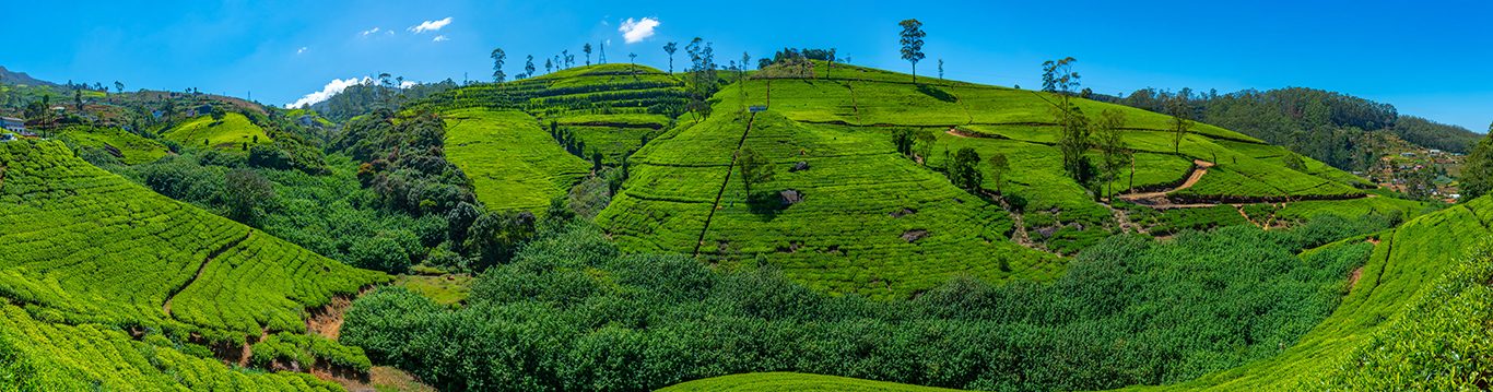 Collection de voyages