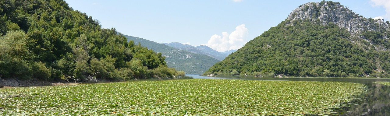 ALBANIE_Pixabay_skadar-lake-469973_1280