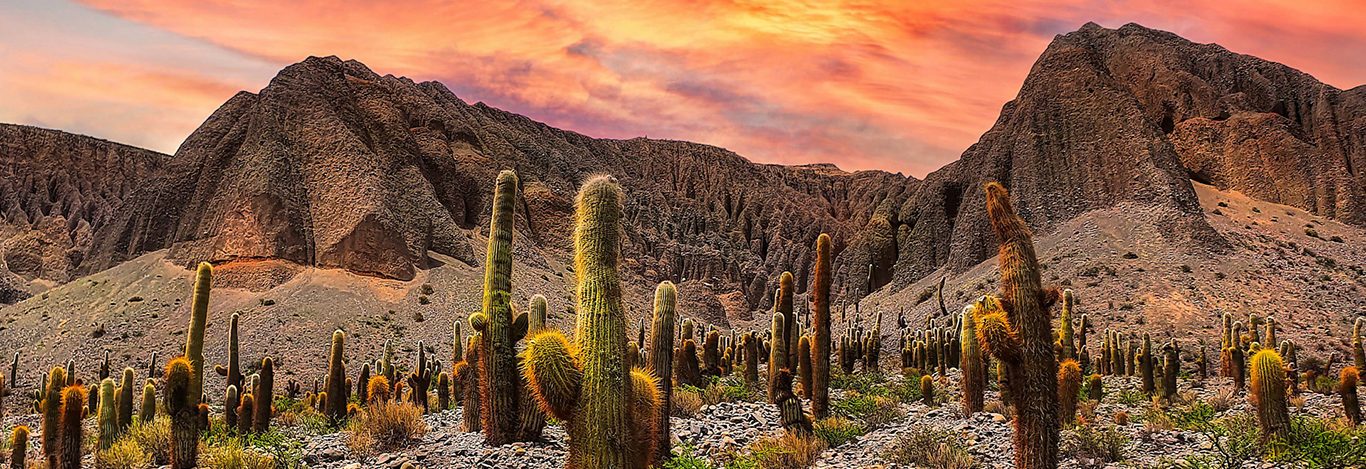 Collection de voyages