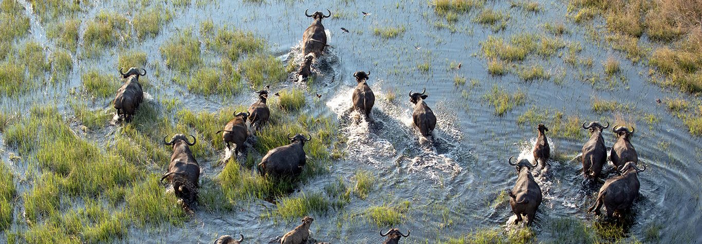 Collection de voyages