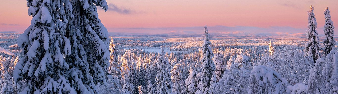 Collection de voyages