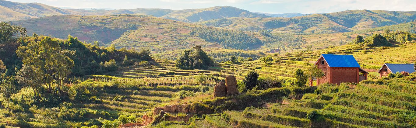 Typical Madagascar landscape - green and yellow rice terrace fields on small hills with clay houses in region near Vohiposa