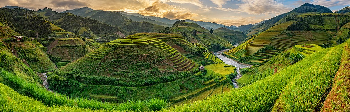 Green Rice fields on terraced in Mu cang chai, Vietnam Rice fiel