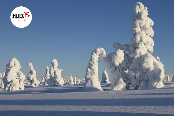 Splendeurs Polaire 07J/06N - 2026