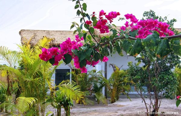 Combiné Phnom Penh / Koh Rong – Anik Palace 4* & The Secret Garden 4* – (Flex)