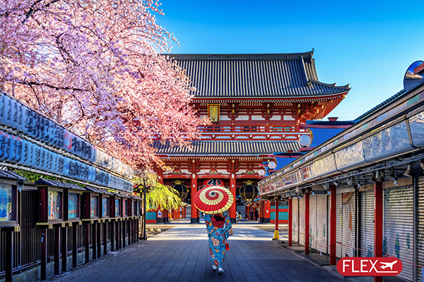 Combiné Tokyo, Osaka et Kyoto 13J/10N – 2026 (Flex)