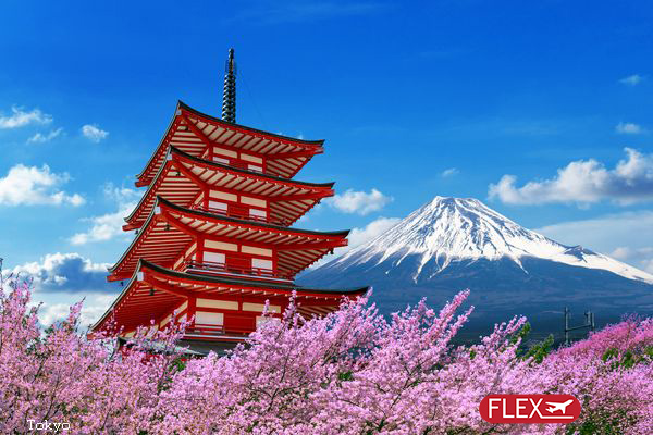 Combiné Tokyo, Mont Fuji & Kyoto 10J/7N – 2026 (Flex)