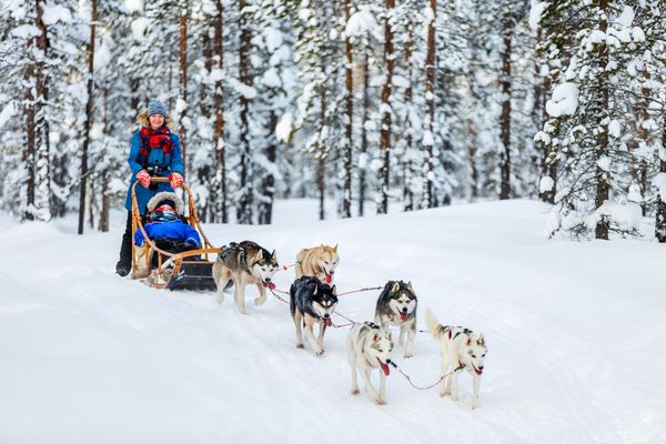 Splendeurs de la Laponie Finlandaise 08J/07N – 2027 – (Flex)