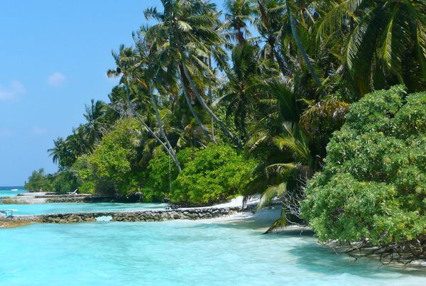 Splendeurs du Sri Lanka & Extension Fihalhohi Island 4* Maldives 13J/10N – 2026 – Limité à 28 pers.