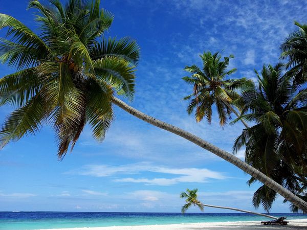 Merveilles du Sri Lanka & Extension Fihalhohi Island 4* Maldives - 18J/15N - 2026 - Limité à 24 pers.