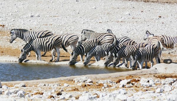 Merveilles de Namibie & Séjour Chobe & Chutes Victoria 18J/15N – 2026 – Limité à 8 pers./véhicule
