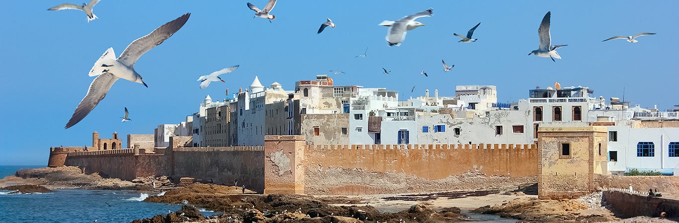 View of the Essaouira medina in Morocco. Seagulls over the old city against the blue sky.