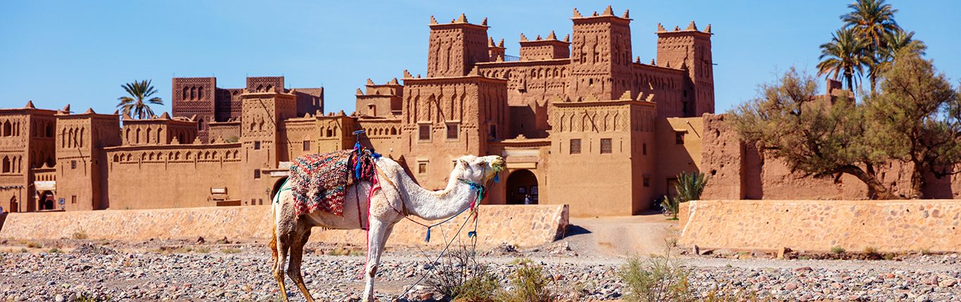 Kasbah in Skoura near Ouarzazate in Morocco