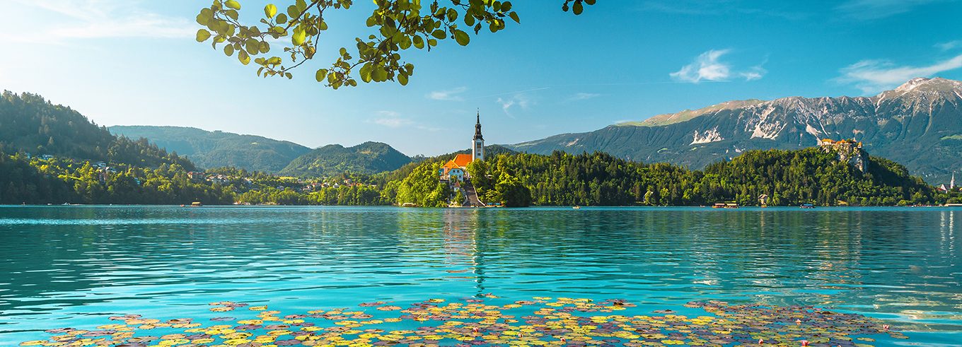 Stunning view with lotus flowers on the lake, Bled, Slovenia