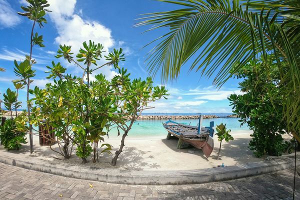 Merveilles du Sri Lanka & Extension Eri Maldives 4* Maldives - 18J/15N - 2026 - Limité à 24 pers.
