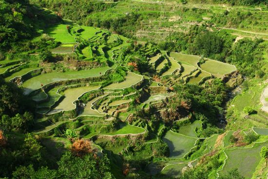 Immersion aux Philippines & Séjour Palawan à El Nido en Hôtel 3* 15J/12N – 2027 – Limité à 12 pers. (Flex)
