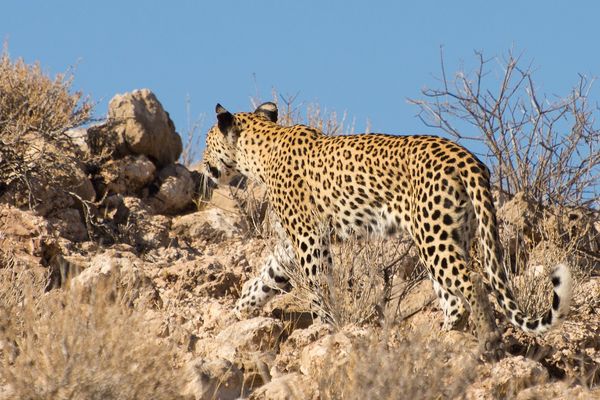 Merveilles de Namibie 14J/11N – 2027 – Limité à 8 pers./véhicule