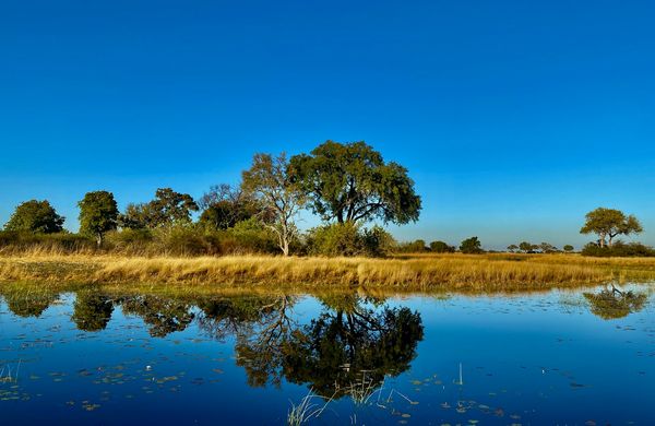 Immersion au Botswana & Extension Chutes Victoria 13J/10N – 2026 – Limité à 7 pers./véhicule