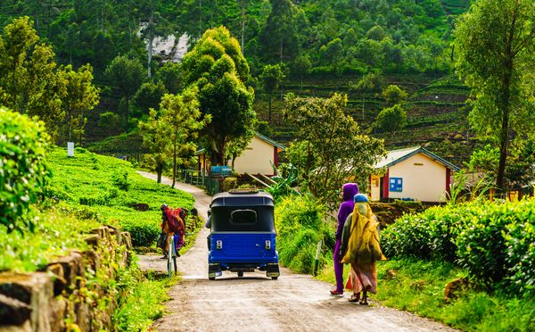 Immersion au Sri Lanka 15J/12N - 2026 - Limité à 12 pers.