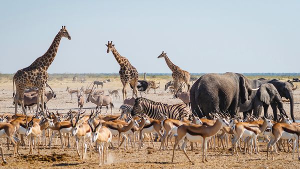 Splendeurs de Namibie & Séjour Chobe & Chutes Victoria 16J/13N – 2026 – Limité à 22 pers.