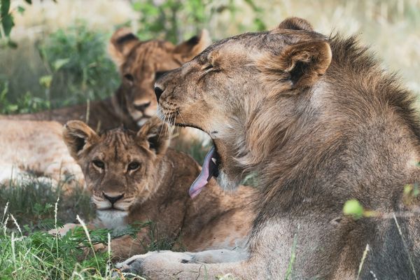 Splendeurs de Namibie & Séjour Chobe & Chutes Victoria 16J/13N – 2026 – Limité à 22 pers.