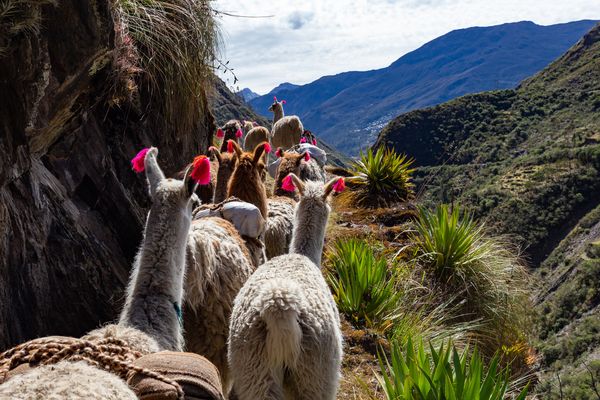 Douceurs au Pays des Incas & Séjour Amazonie 14J/12N – 2026 – Limité à 24 pers.