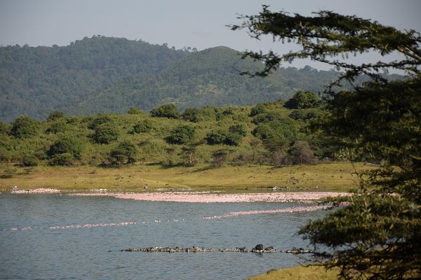 Splendeurs de Tanzanie & Zanzibar 13J/10N - 2026 - Limité à 6 pers./véhicule