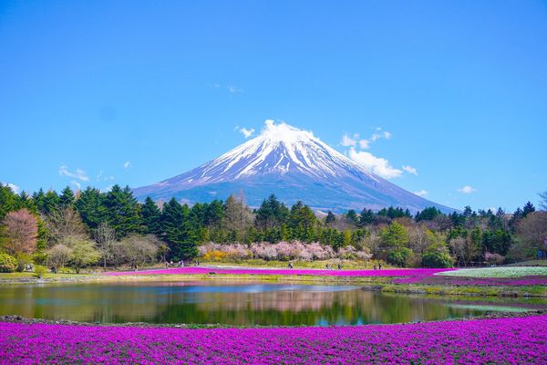 Splendeurs du Japon 11J/8N – 2026 – Limité à 28 pers.