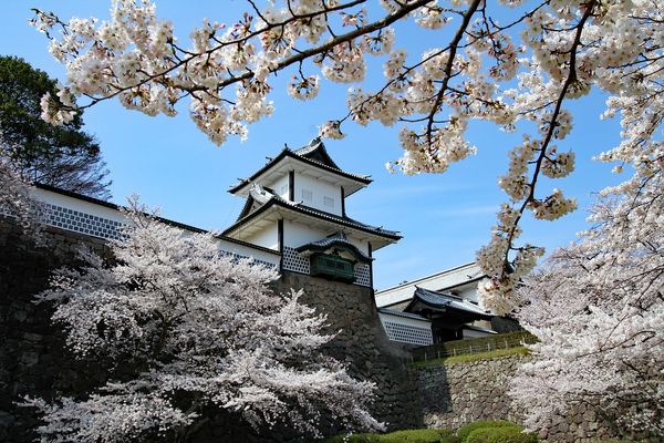 Immersion Intime au Japon – Version Véhicule Privé 13J/10N – 2026 – Limité à 12 pers.
