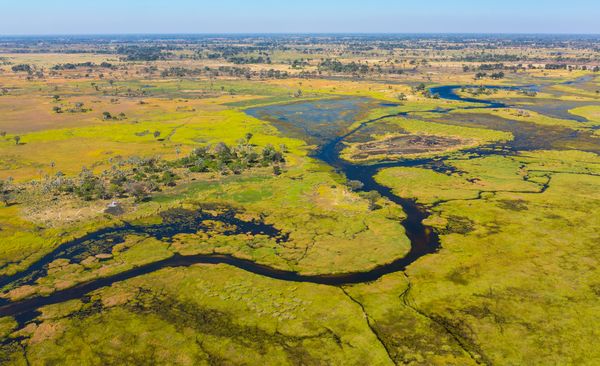 Immersion au Botswana 11J/8N – 2026 – Limité à 7 pers./véhicule