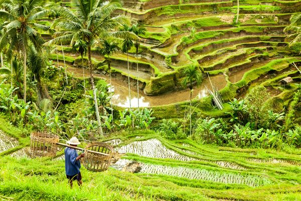 Immersion à Bali & Komodo variante Tanjung Benoa 15J/12N – 2026 – Limité à 12 pers. – (Flex)