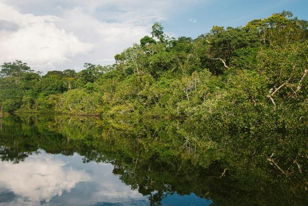 Séjour aux Chutes d’Iguaçu & Splendeurs du Brésil & Séjour Amazonie 15J/12N – 2026 – Limité à 18 pers.