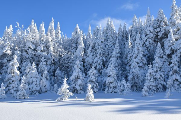 Splendeurs d’Hiver au Lac Blanc 9J/7N – 2026/2027 (Flex)