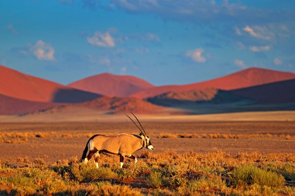 Splendeurs de Namibie 12J/09N – 2027 – Limité à 22 pers.