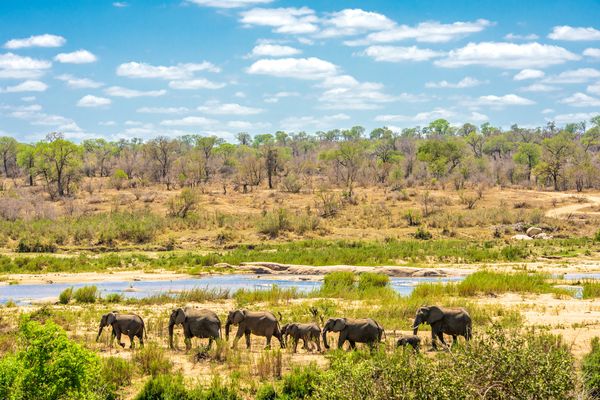 Splendeurs du Parc Kruger 10J/07N – 2027 – Limité à 24 pers.