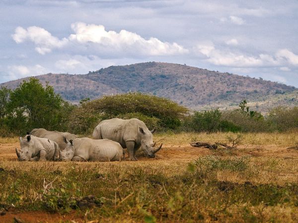 Splendeurs d’Afrique du Sud & Eswatini 11J/08N – 2027 – Limité à 28 pers.