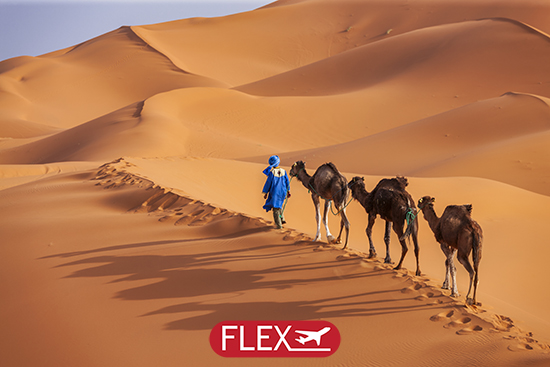 Immersion entre Dunes & Kasbahs – Festival des Nomades – 9J/8N – 2027 – Limité à 12 pers. – (Flex)