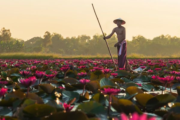 Immersion au Laos 12J/09N – 2027 – Limité à 12 pers.
