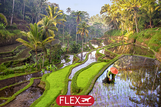 Splendeurs de Bali, Komodo & Extension Nusa Lembongan 19J/16N – 2027 – Limité à 20 pers. – (Flex)