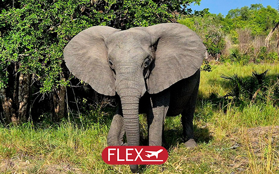 Immersion à Zanzibar & Saadani 10J/07N – 2027 – Limité à 6 pers/véhicule  (Flex)