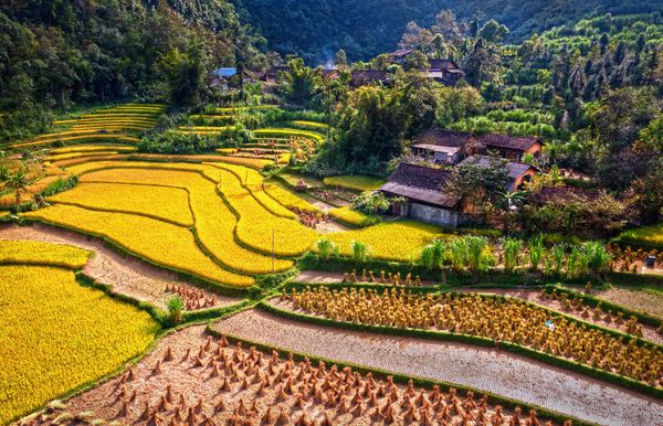 Splendeurs du Vietnam & balnéaire Phu Quoc 15J/12N – 2027 – Limité à 28 pers.