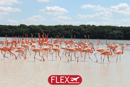 Sur les routes du Yucatán & Extension Tulum 12J/10N – 2027 – (Flex)
