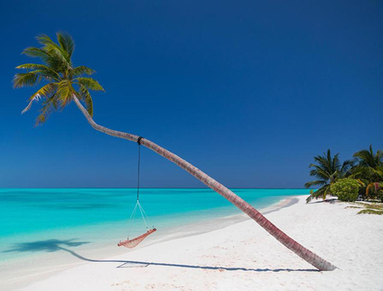 Meeru Island Resort & Spa 4* (Flex)