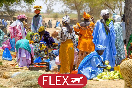 Immersion au Sénégal & Extension Plage à Saly 12J/10N – 2027-  Limité à 12 pers. – (Flex)
